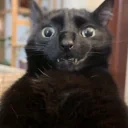 Erm emote for Discord