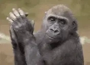 ErisMoment emote for Discord