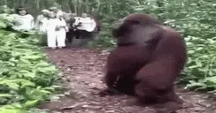 errr emote for Discord