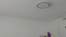 Eradat emote for Discord