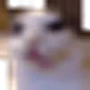Ermegemmzzfsfwqasdv emote for Discord