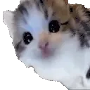 Erm animated emote for Discord, Twitch and Slack