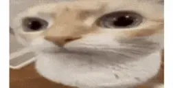 erhandomat emote for Discord