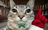 erm emote for Discord