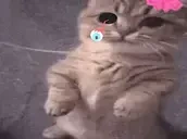 errr emote for Discord