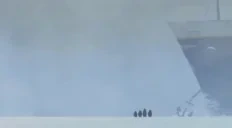 EstaHorrible emote for Discord