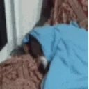 Esfrio emote for Discord