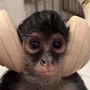 escuchandO emote for Discord