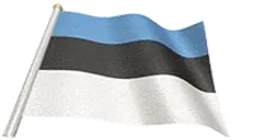 estoniaFlag emote for Discord