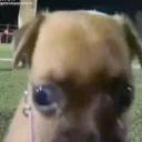 esbugalhado emote for Discord