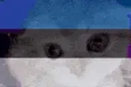 Estondey emote for Discord