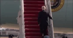 escaleras emote for Discord