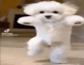 ESHLI emote for Discord