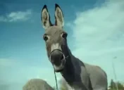 EshakLookingAtYou emote for Discord