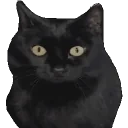 esonStare emote for Discord