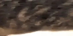 Escape emote for Discord