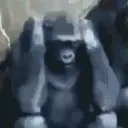 esquizo emote for Discord