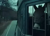 EshakHabs emote for Discord