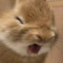 EllaRAGEY emote for Discord