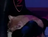 ElmuchaSleep emote for Discord