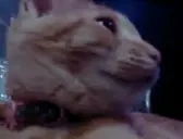 ElmuchaYawn emote for Discord