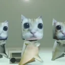 elgatoPls emote for Discord