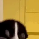 EllieCool emote for Discord