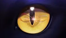 ELIO emote for Discord