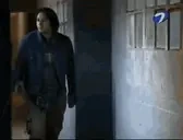 elmasporonga emote for Discord