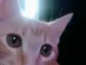 ElmuchaSniff emote for Discord