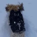 ElsaSnow emote for Discord