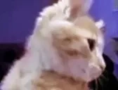 ElmuchaMyaa emote for Discord