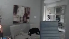 elpwsArrive emote for Discord