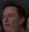 elonSeizure emote for Discord