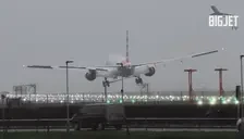 ElmoLanding emote for Discord