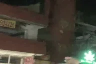 elpapiArrived emote for Discord