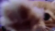 ElmuchaHi emote for Discord