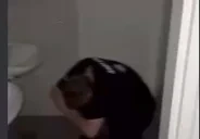 ELXgermlinAttack emote for Discord