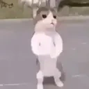 empeceajuga emote for Discord