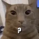 emmwhat emote for Discord