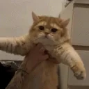 emm emote for Discord