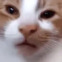 emm emote for Discord