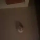 emoe emote for Discord