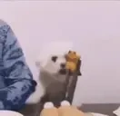 empanadas emote for Discord