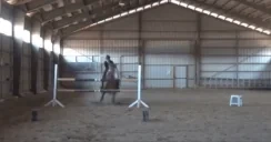 emufall emote for Discord