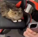 emm emote for Discord