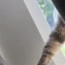 Ember emote for Discord