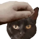 EmmaPet emote for Discord