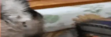 EMBARRASSING emote for Discord