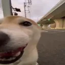 Expectanting emote for Discord